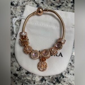 Pandora Bracelets with 9 charms